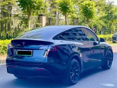 Tesla Model Y Standard Range RWD - ფოტო 9