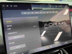 Lotus For Me SE - ფოტო 11