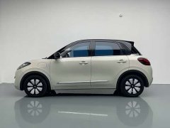 Wuling Binguo 333km Joy Edition - ფოტო 11