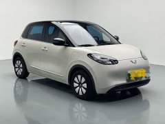 Wuling Binguo 333km Joy Edition - ფოტო 3