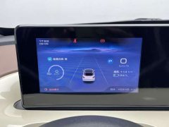 Wuling Binguo 333km Joy Edition - ფოტო 8
