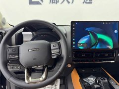 Haval Manlong New Energy Hi4 145 Adventure Edition - ფოტო 11