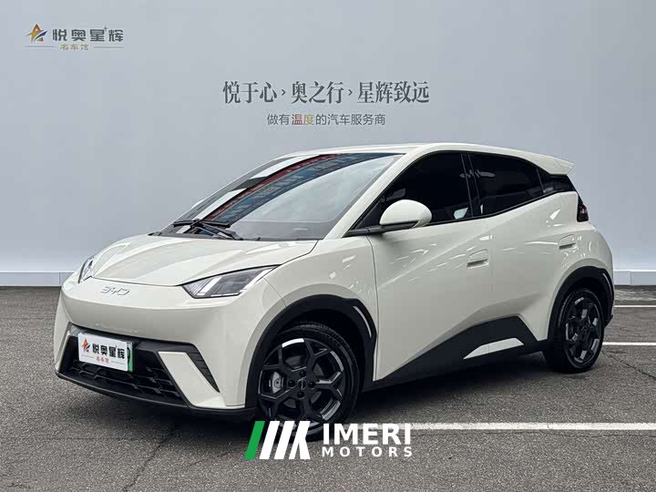 BYD Seagull 305km Freedom Edition - ავტომობილი ჩინეთიდან
