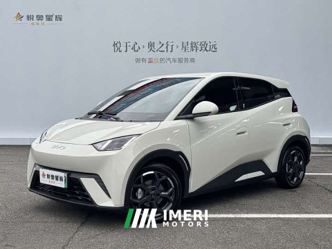 2025 BYD Seagull 305km Freedom Edition - ავტომობილი ჩინეთიდან