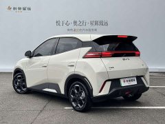 BYD Seagull 305km Freedom Edition - ფოტო 4