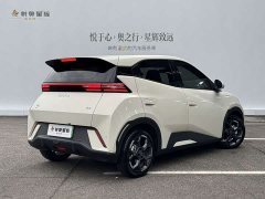BYD Seagull 305km Freedom Edition - ფოტო 6
