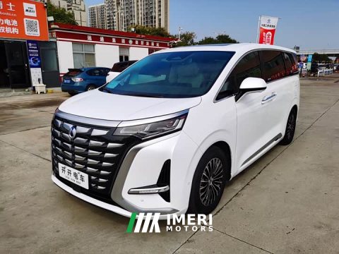 2024 Denza BYD Denza D9 DM-i 980 Four-Wheel Drive Flagship - ავტომობილი ჩინეთიდან