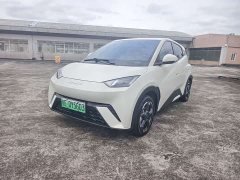 BYD Seagull Glory Edition 405km Flying Edition - ფოტო 1