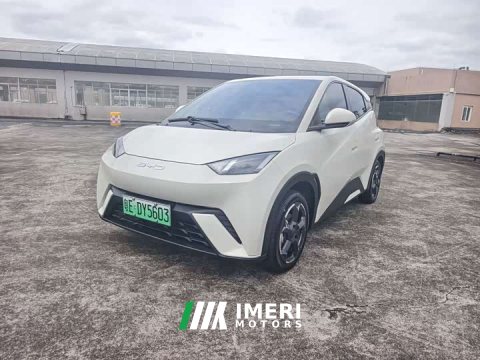 2024 BYD Seagull Glory Edition 405km Flying Edition - ავტომობილი ჩინეთიდან