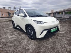 BYD Seagull Glory Edition 405km Flying Edition - ფოტო 16