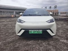 BYD Seagull Glory Edition 405km Flying Edition - ფოტო 2