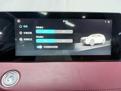 Jetour Jietu X70 PLUS 1.5T DCT Brave PLUS 7-Seater - ფოტო 17