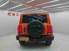 Tank 300 Off-Road Edition 2.0T Conqueror - ფოტო 5