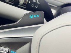 BYD Haima Sealion 06 DM-i 205 Pilot Plus - ფოტო 14