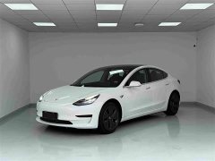 Tesla Model 3 2019 Standard Range RWD Upgrade - ფოტო 1