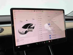 Tesla Model 3 2019 Standard Range RWD Upgrade - ფოტო 12