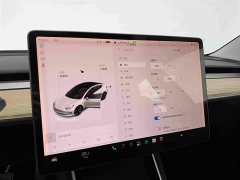 Tesla Model 3 2019 Standard Range RWD Upgrade - ფოტო 14