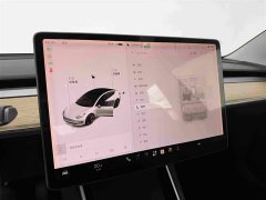 Tesla Model 3 2019 Standard Range RWD Upgrade - ფოტო 8