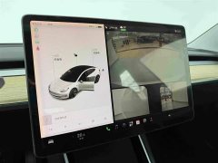 Tesla Model 3 2019 Standard Range RWD Upgrade - ფოტო 9