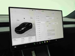 Tesla Model Y 2025 Rear-Wheel Drive - ფოტო 10