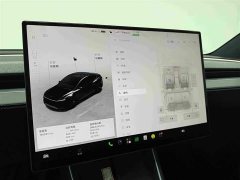 Tesla Model Y 2025 Rear-Wheel Drive - ფოტო 11