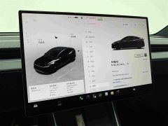 Tesla Model Y 2025 Rear-Wheel Drive - ფოტო 12