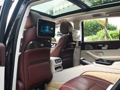 Mercedes-Benz Maybach GLS 600 4MATIC Prestige Edition - ფოტო 11