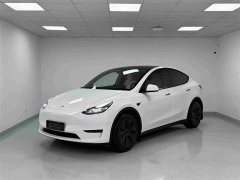 Tesla Model Y Rear-Wheel Drive - ფოტო 1