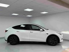 Tesla Model Y Rear-Wheel Drive - ფოტო 3