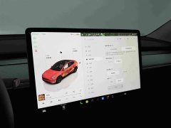 Tesla Model Y Rear-Wheel Drive - ფოტო 9