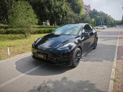 Tesla Model Y Long Range All-Wheel Drive - ფოტო 1