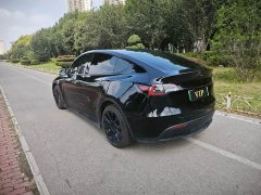 Tesla Model Y Long Range All-Wheel Drive - ფოტო 12