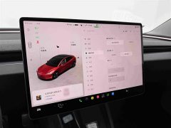 Tesla Model 3 2023 Rear-Wheel Drive - ფოტო 14