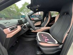 BYD Seagull 305km Vitality Edition - ფოტო 6