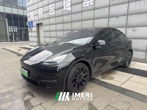 2021 Tesla Model Y Standard Range RWD - ავტომობილი ჩინეთიდან