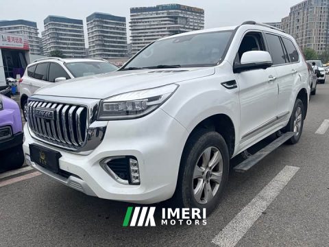 2023 Haval H9 2022 2.0T Gasoline AWD Luxury 7-Seater - ავტომობილი ჩინეთიდან