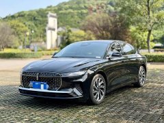 Lincoln Z 2.0T Premium - ფოტო 1