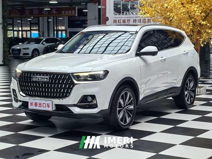 Haval H6 National Trend Edition 1.5T Automatic Champion Version - ავტომობილი ჩინეთიდან