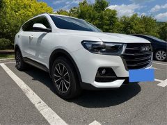 Haval H6 2021 National Trend Edition 1.5T Automatic Urban Version - ფოტო 2