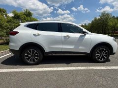 Haval H6 2021 National Trend Edition 1.5T Automatic Urban Version - ფოტო 6