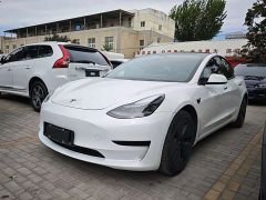 Tesla Model 3 Standard Range RWD Upgrade 3D6 - ფოტო 1