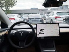 Tesla Model 3 Standard Range RWD Upgrade 3D6 - ფოტო 7