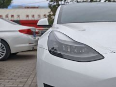 Tesla Model 3 Standard Range RWD Upgrade 3D6 - ფოტო 9