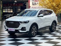 Haval H6 National Trend Edition 1.5T Automatic Champion Version - ფოტო 1