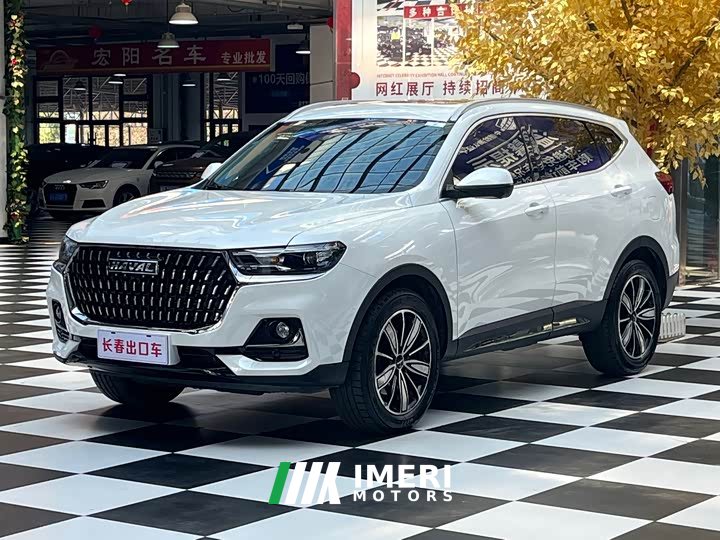Haval H6 National Trend Edition 1.5T Automatic Champion Version