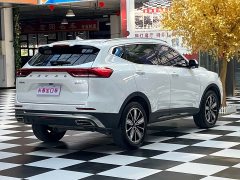 Haval H6 National Trend Edition 1.5T Automatic Champion Version - ფოტო 6