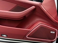 Porsche Panamera Executive Extended Wheelbase 2.9T - ფოტო 12
