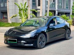 Tesla Model 3 Standard Range RWD Upgrade - ფოტო 1