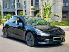 Tesla Model 3 Standard Range RWD Upgrade - ფოტო 3