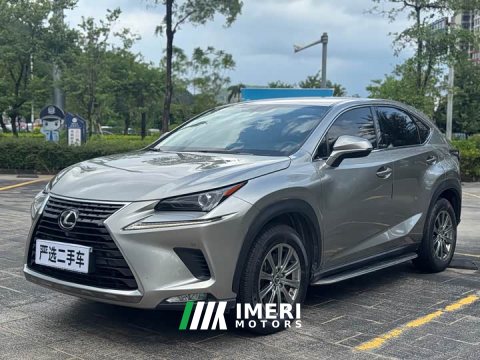 2021 Lexus NX 2020 200 FWD Sharp Edition National VI - ავტომობილი ჩინეთიდან